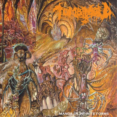 Tomb Mold Manor of Infinite Forms (CD) Album - Bild 1 von 2