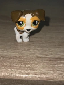 Littlest Pet Shop Authentic #804 White Brown Orange Jack Russell Green Eyes - Picture 1 of 6