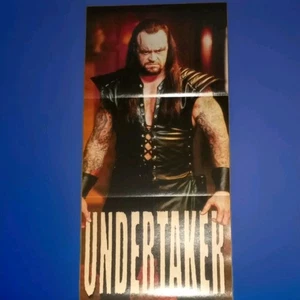 Wrestling Poster Undertaker NWO Poster  - Picture 1 of 2