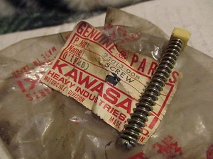 Nuevo de lote antiguo Kawasaki OEM Faro Ajuste Tornillo Assy 74-79 KZ400 23013-008 - Imagen 1 de 1