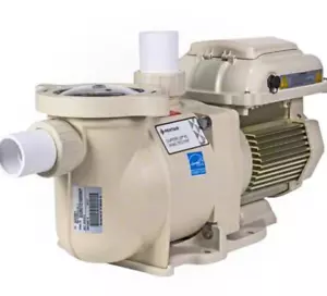 Pentair EC342001 SuperFlo VS Variable Speed Energy Efficient Pump With Unions - Picture 1 of 4
