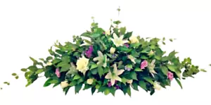 Ataúd Spray Funeral Flor Seda Artificial Natural Ataúd Topper Marfil Imitación Papá - Imagen 1 de 7