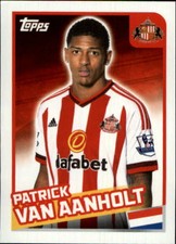 2015-16 Merlin's English Premier League Stickers #375 Patrick Van Aanholt
