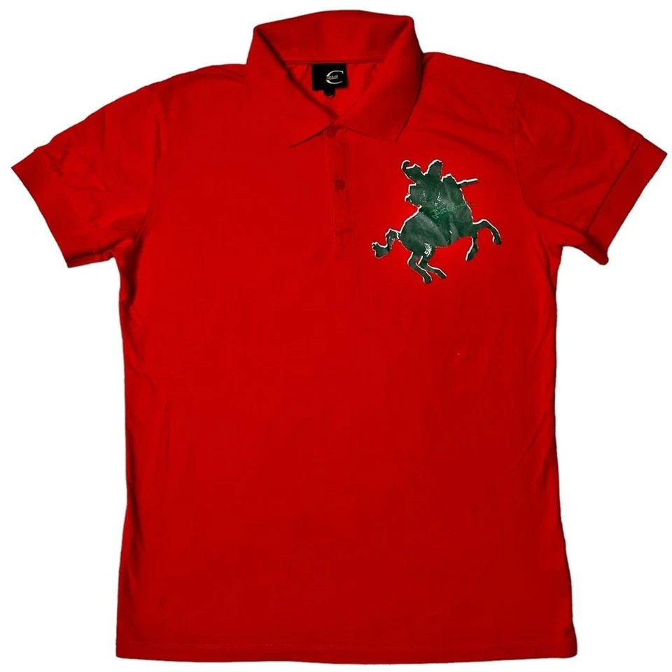 Just Cavalli Big Logo 短袖 Polo 衫深橙色男式 M 码 *测量 — 第 1/4 张图片