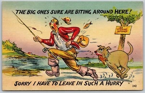 Tarjeta postal humor grandes seguro que muerden por aquí perro persiguiendo pescador cómic - Imagen 1 de 2