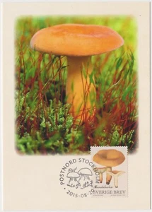 Mushroom Lactifluus Volemus Sweden Mint FDC Maxi Card 2015 - Picture 1 of 1