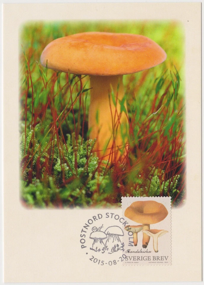 Mushroom Lactifluus Volemus Sweden Mint FDC Maxi Card 2015 - Image 1 of 1