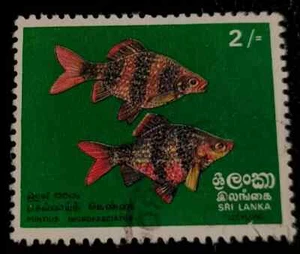 Sri Lanka: 1972 Fish 2 R. (Collectible Stamp). - Picture 1 of 1