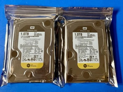 {Lote de 2x} WESTERN DIGITAL ENTERPRISE 1 TB 3,5" DESKTOP HDD WD1003FBYX *TESTADO* - Imagem 1 de 4