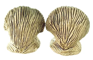 Clam Shells Salt & Pepper Shakers Ceramic Beach Kitchen Decor 4” T x 3.25” W - Picture 1 of 9