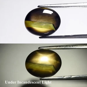 3.30ct Oval Natural Green Black 6 Ray Star Sapphire - Heated Glass Filling, Gem - Picture 1 of 6