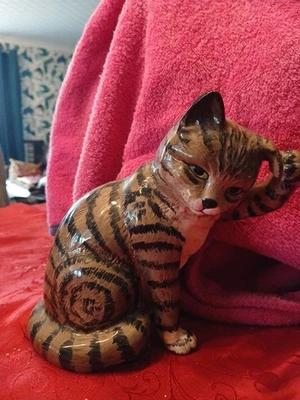 Beswick Swiss Roll Cat Touching Ear model no.  1877 In Vgc - Image 1 of 4