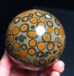 TOP 261G Natural Leopardite Eye Agate Sphere Ball Crystal Stone Healing QC48 - Picture 1 of 18