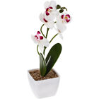 White Silk Flower Artificial Phalaenopsis Plant Pot Fake Ochid Flowers