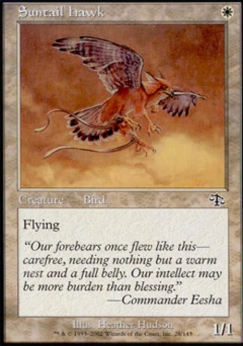 Suntail Hawk - Medium Play MTG Judgment - Image 1 of 1
