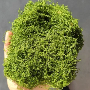 Diorama Realistic Moss Vine Greenery Creeper Model DIY Railway Scene Props Model - Picture 1 of 41