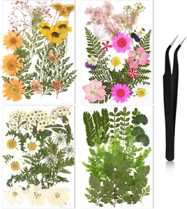 Pressed Flowers Bulk Dried Flower for Crafts, Dried Wildflowers Leave Natural wi - Picture 1 of 12