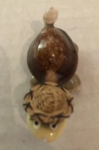 Small Seashell Turtle Wearing A Straw Hat - Picture 1 of 8