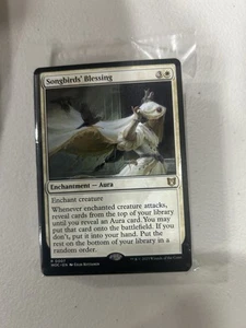 Singbirds' Blessing - Commander: Wilds of Eldraine - Bild 1 von 1