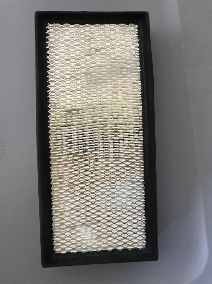 Filtro de aire Hastings AF481 envío gratuito 46339 Foto 1 de 2