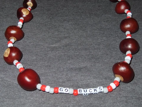 Ohio State Buckeyes GO BUCKS Handmade Necklace Made w/ REAL NUTS Cover