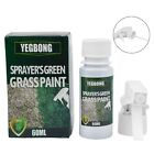 Green Grass Paint Plastic Repair Spray Plant Dye Curing Agent For Lawn