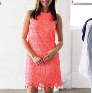 NWOT - BEBE LACE CORAL HIGH NECK SCALLOPED HEM STRETCH KNIT COCKTAIL MINI DRESS - Picture 1 of 12