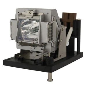 Lamp & Housing for The Digital Projection eVision-XGA-6500 Projector - 90 Day - Picture 1 of 5
