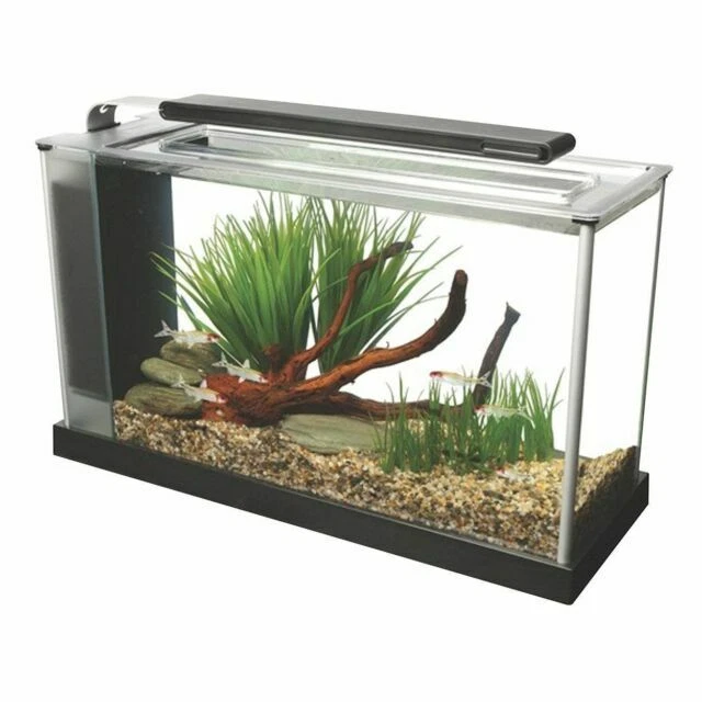 Fluval Spec V Aquarium Kit, 5-Gallon, Black