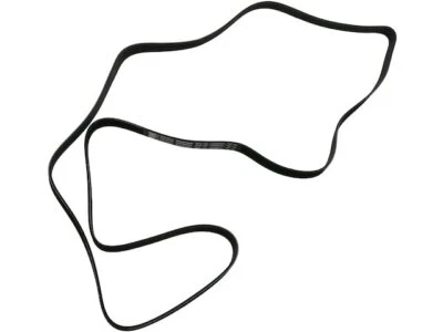 Cinturón multi costilla Ford Bronco 1987-1990, 1994-1996 88582ZWTN 1988 1989 1995 Foto 1 de 2