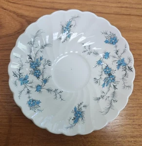Myott England Fine Staffordshire Ware - No me olvides - Taza de té platillo 11 - Imagen 1 de 2