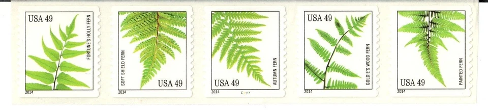 Scott 4848-4852 49¢ Ferns P#C1111 MNH Free shipping in the USA! - Image 1 of 1