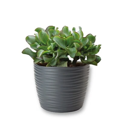 Übertopf Wellen Slim Rund Blumentopf 3D Effekt Elegant  (3 Farben;7 Größen) SETs - Bild 1 von 3