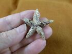 Y-STA-21 little gray Starfish marine sea star stone carving SOAPSTONE love stars