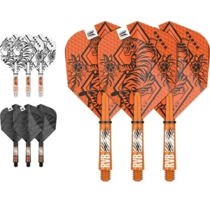Target Raymond Van Barneveld Ink Deaign Flight And Stem 27 Peice Kit Short - Picture 1 of 1
