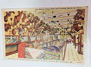 Cartolina San Antonio TX Alberts Buckhorn Saloon Curio Store East Room - Foto 1 di 2