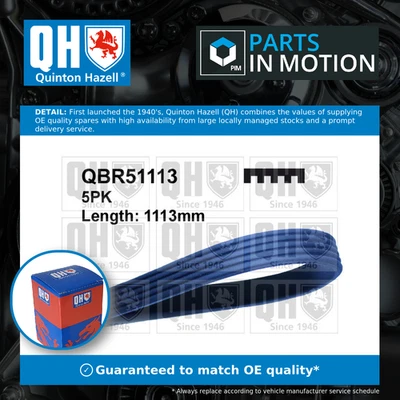 5 Rib Multi V Drive Belt fits RENAULT LOGAN Mk1, Mk2 1.4 1.6 2004 on QH Quality - Image 1 of 4