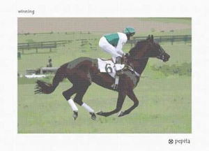 Kit de punta de aguja ganadora o lona - Imagen 1 de 2
