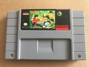 Ranma 1/2: Hard Battle - Authentic Game Cartridge Super Nintendo SNES Rare HTF - Picture 1 of 3