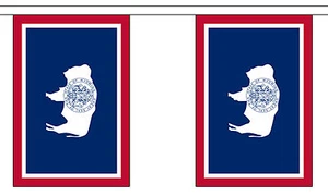 WYOMING U.S. STATE BUNTING 9 metres 30 flags Polyester flag - Picture 1 of 1