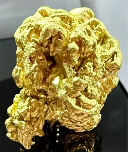 Pepita de oro puro natural genuina de 13,774 gramos Alaskan Yukon BC #AK501 - Imagen 1 de 8