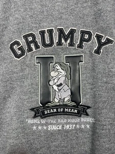 Grumpy University Auténtica Exclusiva de Disney Store Para Hombres L Chaqueta Universitaria Gris - Imagen 1 de 9