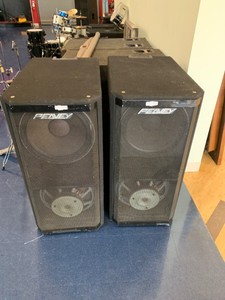 ebay peavey speakers