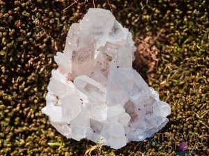 Rosa HIMALAYA QUARZ Rohkristall Cluster - Quarz Cluster, Dekor, Steine, 39922 - Bild 1 von 10