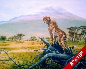 WILDE GEPARDEN KATZE AM MT KILIMANDSCHARO AFRIKA TIERMALEREI KUNST ECHTER LEINWANDDRUCK - Bild 1 von 5