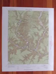 Treibholz Pennsylvania 1956 Original Vintage USGS Topo Karte - Bild 1 von 1