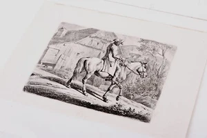 Antico Acquaforte Napoleoniche Soldato Da Cavallo Firmato Johann Adam Piccolo - Foto 1 di 5