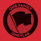 Various Artists One Family. One Flag. (Vinyl) Deluxe  12" Album (UK IMPORT)