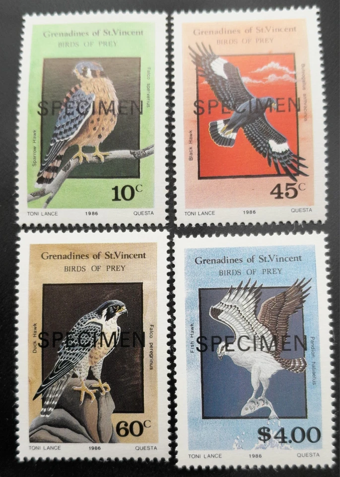 Granadinas de São Vicente 1986 Aves de Rapina selos de amostra MNH SG495 - 498 - Imagem 1 de 1