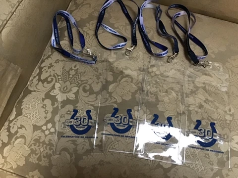 Indianapolis Colts lanyard with ticket holder (4) each Cover